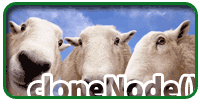 cloned sheep