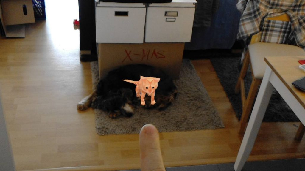 Putting cat Holograms on the dog