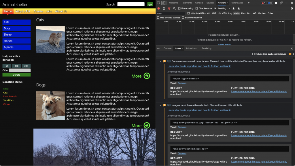 Accessibility reports in the Developer Tools Issues Panel