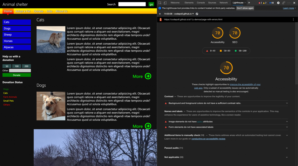 Lighthouse accessibility audit