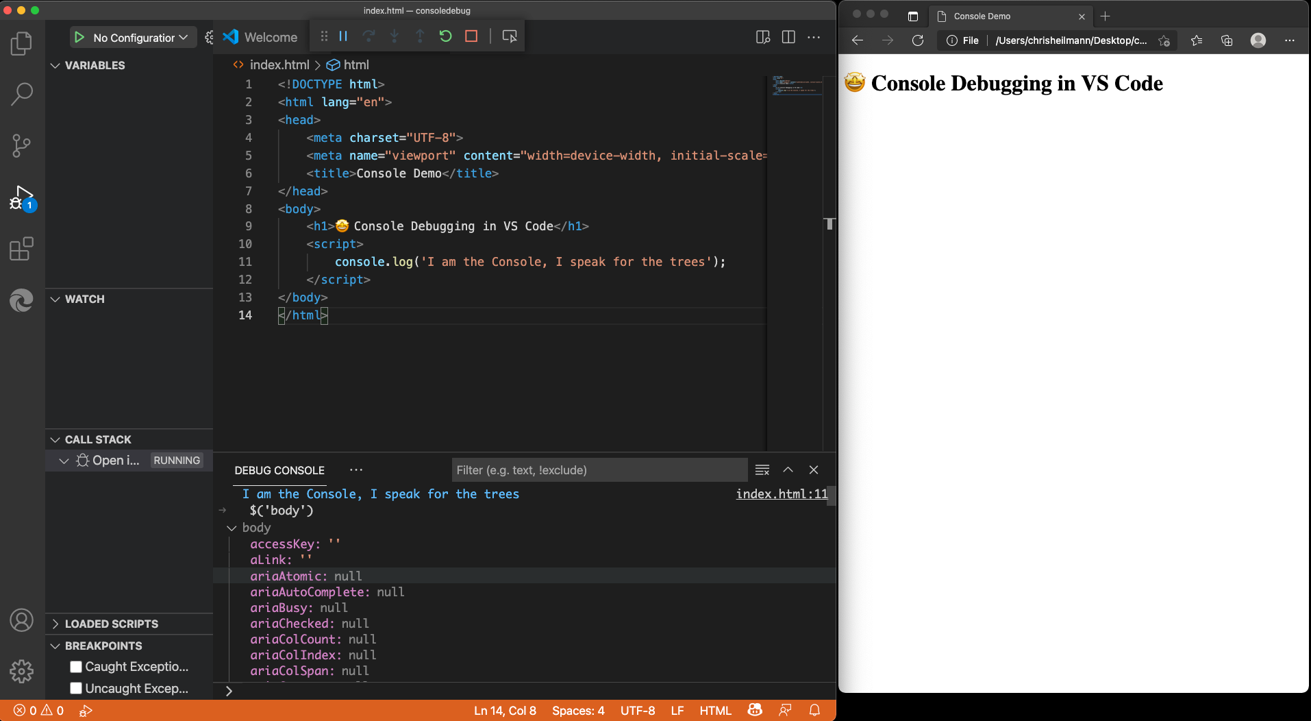 Accessing the document body from the debug console