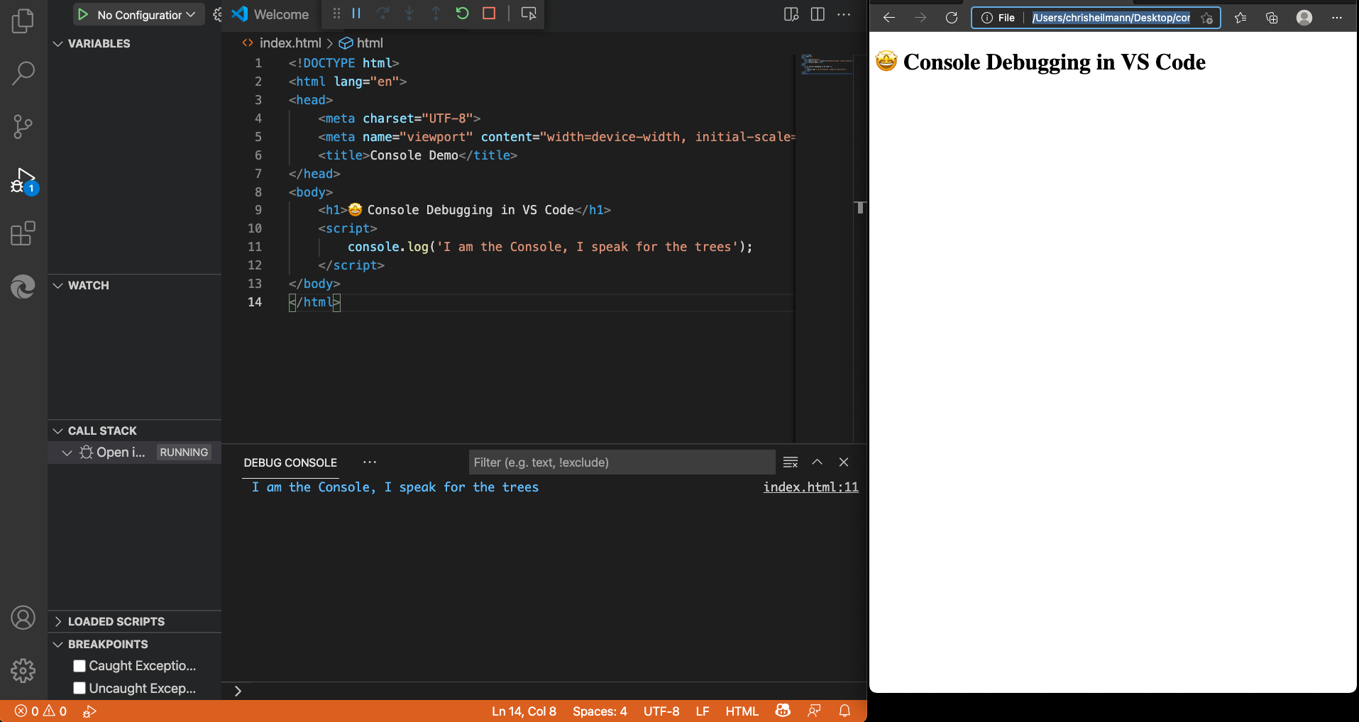 Console messages in the Debug Console of Visual Studio Code
