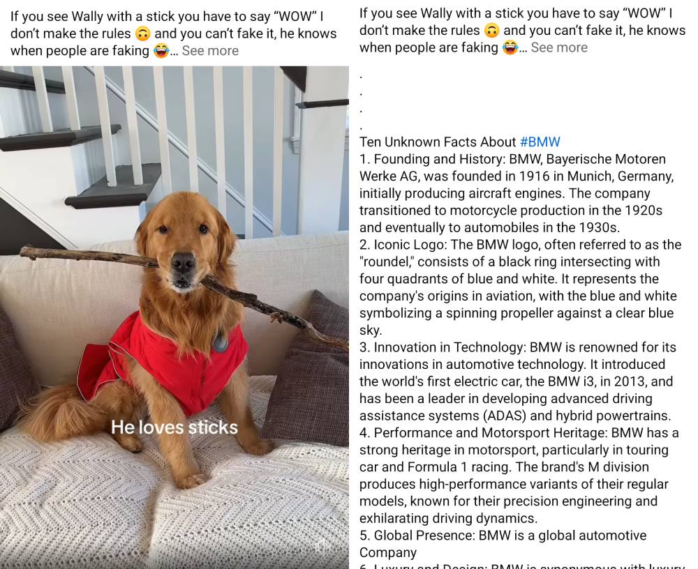 Facebook post with a dog holding a stick and the description that he loves sticks and when you expand the see more you get the whole history of BMW